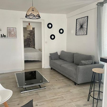 Joli Appart Cour Proche Bord De Loire Блуа Екстер'єр фото